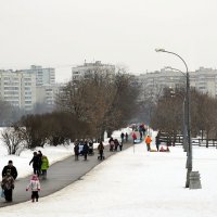 Зима в Коломенском :: Владимир Болдырев