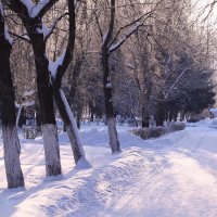 Сказки зимнего парка :: Татьяна Ломтева