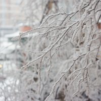 Зима в Питере :: Юля Шрамм