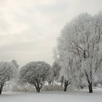 Зима :: Нелли Денисова