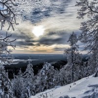 winter morning in January :: Dmitry Ozersky