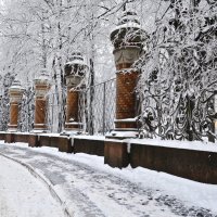 Зима в городе. :: Милана Гресь