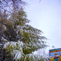 Снежным днем осенним...2015 :: Артём Бояринцев