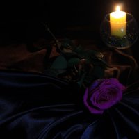 свеча и роза. :: Наталья 