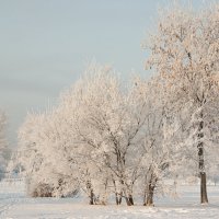 Зима :: Нелли Денисова