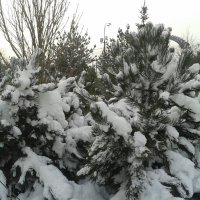 Зима :: Аlexandr Guru-Zhurzh