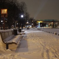 Зимний вечер в Останкино. :: Василий 