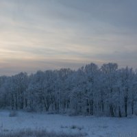 серебренный закат :: Алексей -