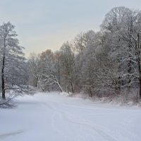 В городском парке. :: Милана Гресь