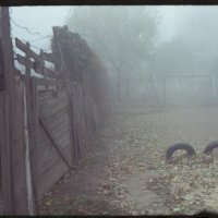 Туман :: Сурикат Сусликов