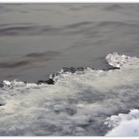 Прибрежный лёд :: Василий Хорошев