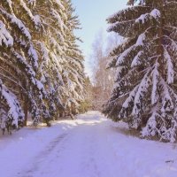 Запуржило, да завьюжило,расплескалось белым кружевом :: Елена Ярова