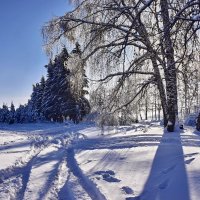 Солнечно. :: Валера39 Василевский.