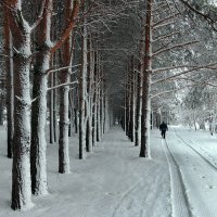 Зимняя прогулка :: Николай Белавин