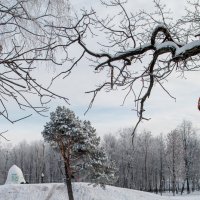 Укатали сивку крутые горки :: Сергей Николаевич Бушмарин