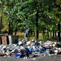 В наших урнах всегда чистота и порядок.)) :: Николай Сапегин