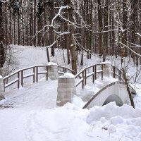 Змний парк :: Леонид Иванчук