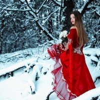 Cold Red :: Роман Егоров