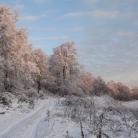 утро на берегу реки :: svetlana 