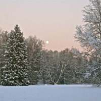 взошла луна :: Елена 