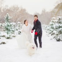 Зимние свадьбы - самые красивые. :: Анастасия Кочеткова 