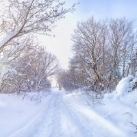 Зима во всей своей красе :: Наталья Петрова