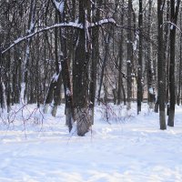 зима :: Александр Тверской