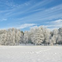 1 :: Александр Горбачев