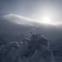 Птицы над снежными узорами горы Эльбрус. :: Zifa Dimitrieva