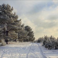 Зимний пейзаж №4 :: Алексей Макшаков