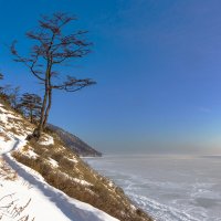 Узкая тропинка :: Анатолий Иргл