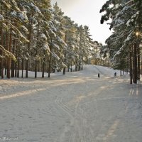 Солнечным днём на Пике Тяпкина. :: Виктор Евстратов