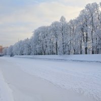 Морозный Петербург :: Милана Гресь