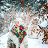 Зима Winter Ugra :: Константин Мищенко
