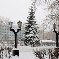 Снегопад :: Светлана Ку