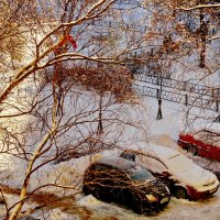Утро,зима и снег. :: Владимир Гилясев