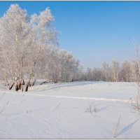 В зимних полях :: Сергей Бережко