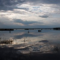 Озеро :: Нелли Денисова
