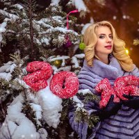 Новогодняя сказка :: Наталия Капитоненко