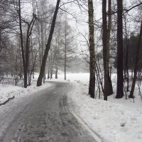 Первый день февраля в Измайловском парке :: Андрей Лукьянов