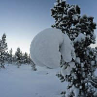 зимняя причуда :: вадим измайлов