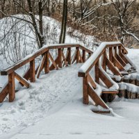 Зимняя зарисовка. Фото 8. :: Вячеслав Касаткин