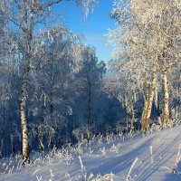 В хрупком одеянии зимы. :: Наталья Юрова