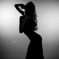 Silhouette :: Irina Zinchenko