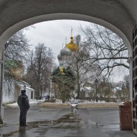 Новодевичий монастырь в январе :: Ирина Шарапова