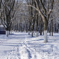 Городской парк :: Игорь Сикорский