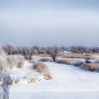 Зимний пейзаж. :: Александр Селезнев