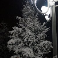 в стране снега :: Alexandr Staroverov