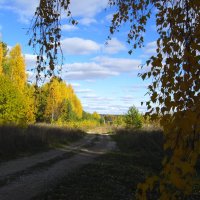 По просёлочной дороге... :: Владимир Щеглов