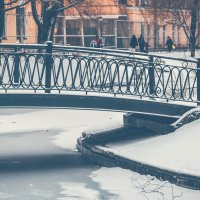 Часть Мостика в парке) :: Александр Кузин